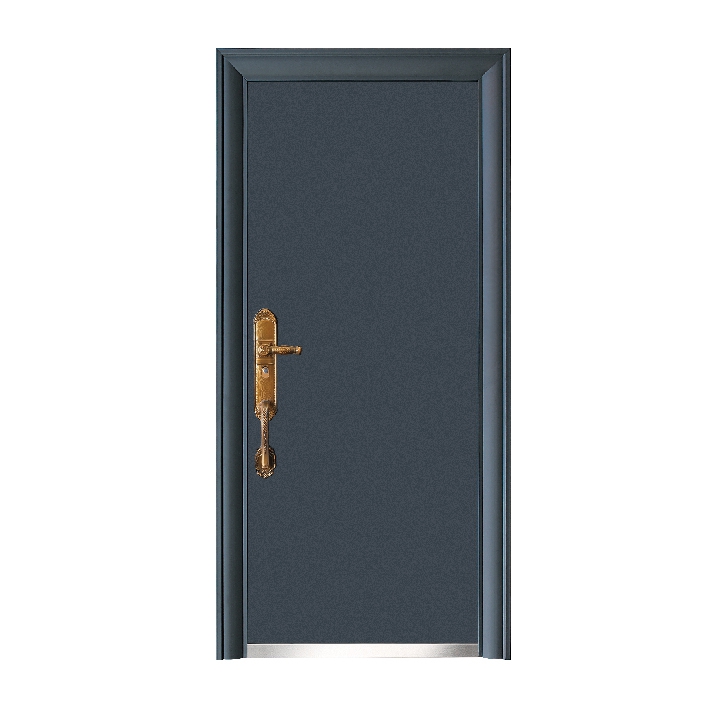 SECURITY DOOR