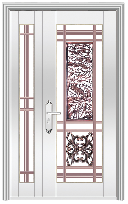 Stainless steel door