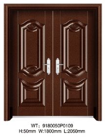 SECURITY DOOR9180050P0109