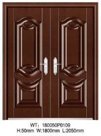 SECURITY DOOR180050P0109