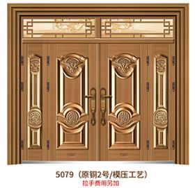 Non-standard doorXHS-5079